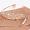 18th Birthday Crown and Sash + Pearl Pin Set, 18th Birthday Decorations for Girls 18th Birthday Gifts 18th Birthday Sash and Tiara 18th Birthday Cake Topper, It's My 18th Birthday, Happy 18th Birthday